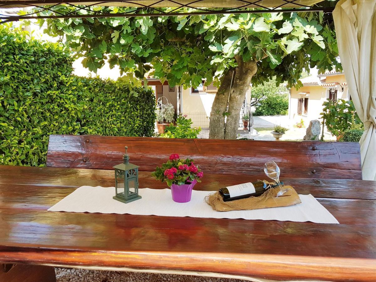 Cozy Apartment Mandula Vrsar Εξωτερικό φωτογραφία